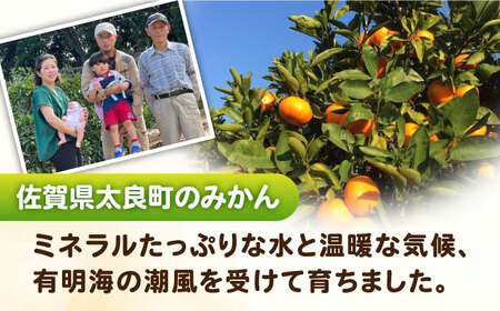 完熟 太良みかん 計5kg（4.5kg＋500g傷み保証分）/ フルーツ / 佐賀県 / 山本農園 [41ATBT003]