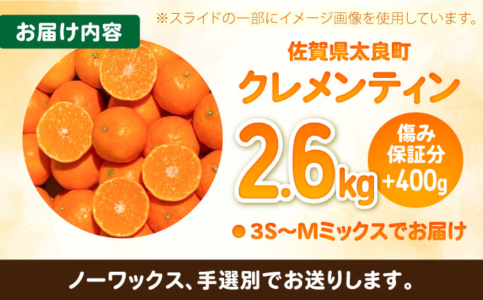 クレメンティン 計3kg（2.6kg＋400g傷み保証分）3S-Mサイズ / みかん / 佐賀県 / 山本農園 [41ATBT007]