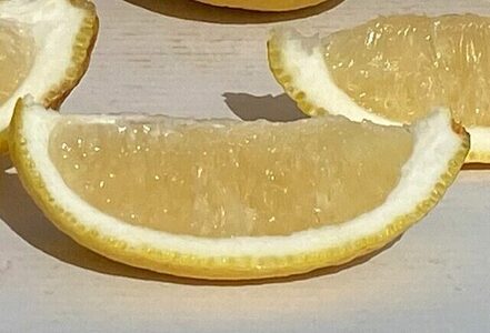 ムーンオレンジ！弓削瓢柑！4.5kg / みかん / 佐賀県 / 山本農園 [41ATBT012]