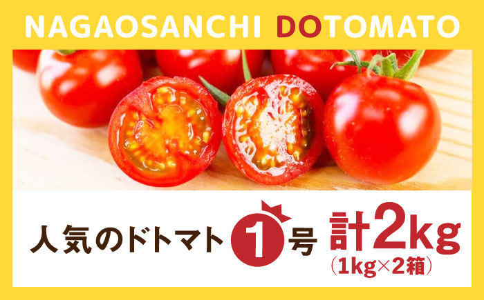 人気のドトマト1号 2kg（1kg×2箱） / 佐賀県 / 永尾産ち [41AAAC001]
