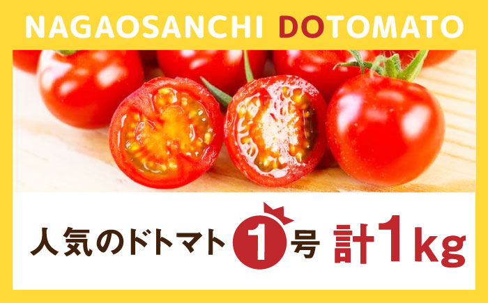 人気のドトマト1号 1kg / 佐賀県 / 永尾産ち [41AAAC002]