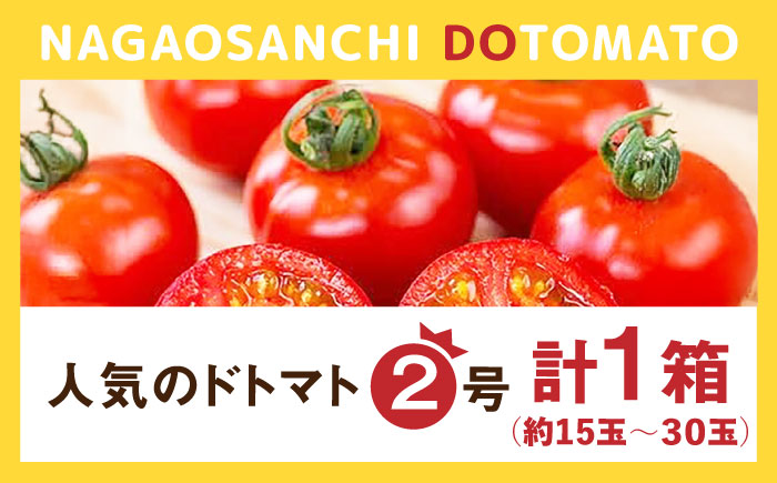 人気のドトマト2号 1箱 / 佐賀県 / 永尾産ち [41AAAC003]