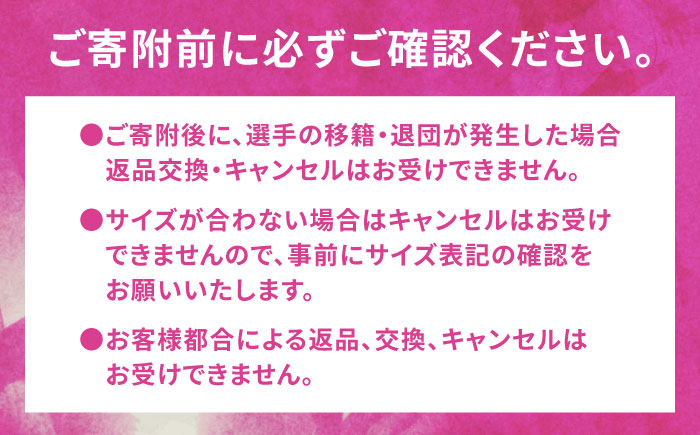 SAGA BALLOONERS 公式オーセンティックユニフォーム（アウェイ） / バスケットボール プロ スポーツ 公式グッズ / 佐賀県 / 佐賀バルーナーズ [41AAAI003]