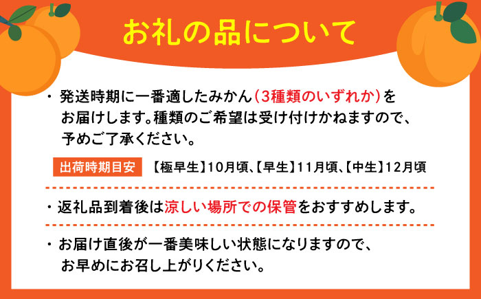 五代目みかん約4.5kg（40-50個） / フルーツ / 佐賀県 / 石橋果樹園 [41AAAJ003]