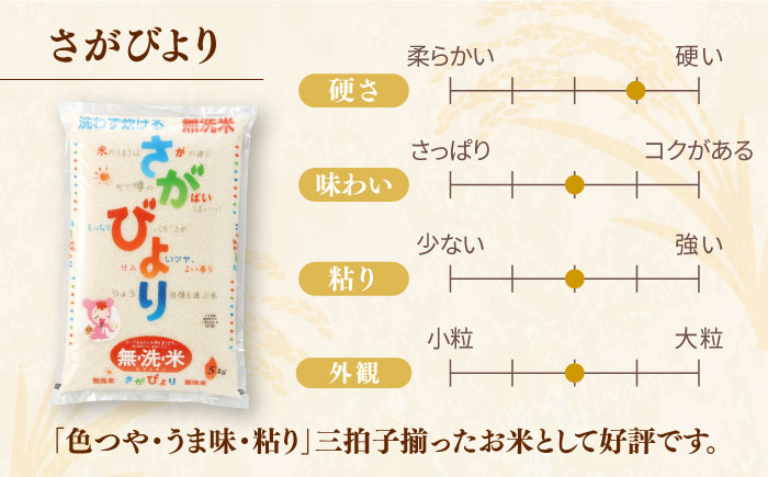 さがびより 無洗米 計10kg（5kg×2袋） / お米 / 佐賀県 / さが風土館季楽 [41AABE089]
