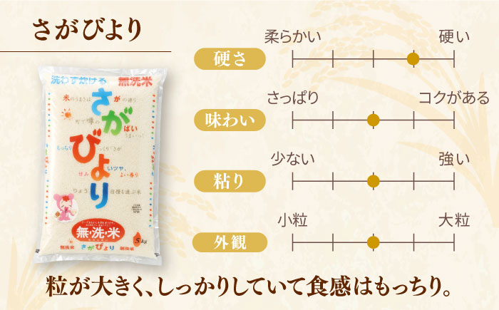 さがびより 無洗米 計20kg（5kg×4袋） / お米 / 佐賀県 / さが風土館季楽 [41AABE091]