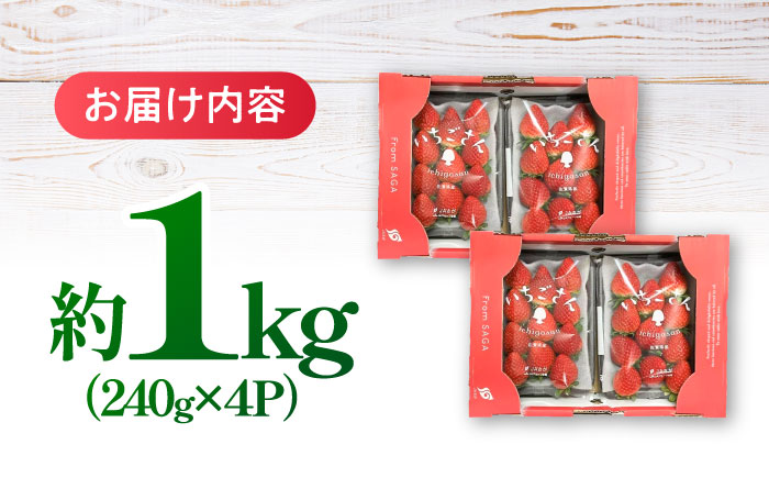 【2026年発送分 先行予約】いちごさん 約1kg（240g×4パック） / フルーツ / 佐賀県 / さが風土館季楽 [41AABE102]