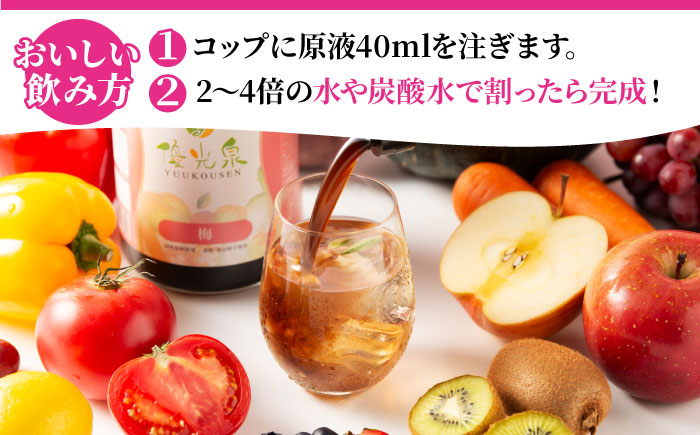 優光泉レギュラーボトル600ml×2本（梅） / ファスティング 美容 / 佐賀県 / 株式会社エリカ健康道場 [41AABL007]
