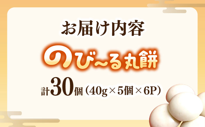 佐賀県産もち米100%自慢の杵つき丸白餅（冷凍）計30個入（40g×5個×6P） / 佐賀県 / 旬菜舎さと山 [41AABM019]