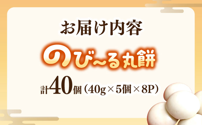佐賀県産もち米100%自慢の杵つき丸白餅（冷凍）計40個入（40g×5個×8P） / 佐賀県 / 旬菜舎さと山 [41AABM020]