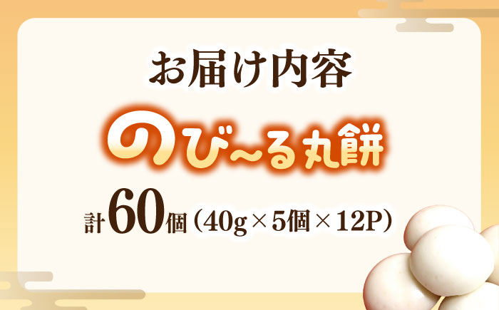 佐賀県産もち米100%自慢の杵つき丸白餅（冷凍）計60個入（40g×5個×12P） / 佐賀県 / 旬菜舎さと山 [41AABM021]