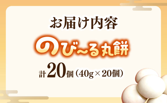 佐賀県産もち米100%自慢の杵つき丸白餅（冷凍）計20個入 / 佐賀県 / 旬菜舎さと山 [41AABM022]