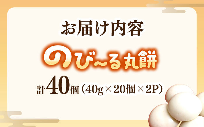 佐賀県産もち米100%自慢の杵つき丸白餅（冷凍）計40個入（20個×2P） / 佐賀県 / 旬菜舎さと山 [41AABM023]