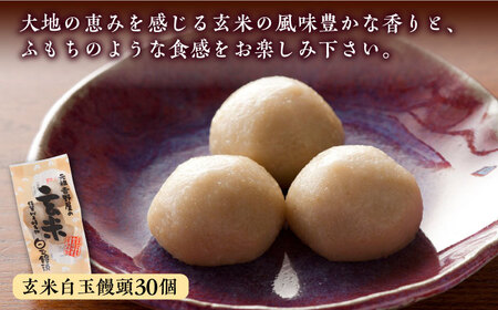 冷凍白玉饅頭詰合せ Dセット / スイーツ / 佐賀県 / 白玉饅頭元祖吉野屋 [41AACQ004]