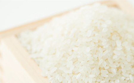 【全5回定期便】令和7年産 栽培期間中、農薬不使用「さがびより」精米 計13.5kg（2.7kg×1袋×5回） / 佐賀県 / 光吉農産 [41AACV005]