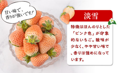 【2026年発送分 先行予約】【全3回定期便】白いちご2種（淡雪・パールホワイト）/ フルーツ / 佐賀県ふるさと納税 [41AAZZ001]