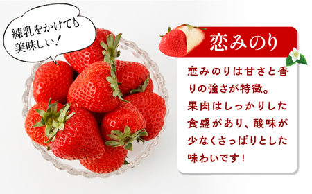 【全4回定期便】紅白いちご（恋みのり・パールホワイト）/ フルーツ / 佐賀県ふるさと納税 [41AAZZ002]