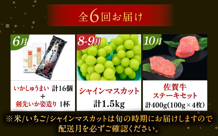 【2026年発送分 先行予約】【全6回定期便】佐賀県の生産者を応援！佐賀づくし定期便 / 佐賀牛 いかしゅうまい シャインマスカット 米 いちご ハンバーグ いか / 佐賀県ふるさと納税 [41AAZZ018]