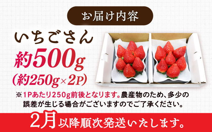 【2026年発送 先行予約】いちごさん 約500g（約250g×2パック） / フルーツ / 佐賀県 / リフルット株式会社 [41ABAA002]