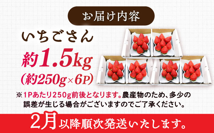 【2026年発送 先行予約】いちごさん 約1.5kg（約250g×6パック） / フルーツ / 佐賀県 / リフルット株式会社 [41ABAA003]