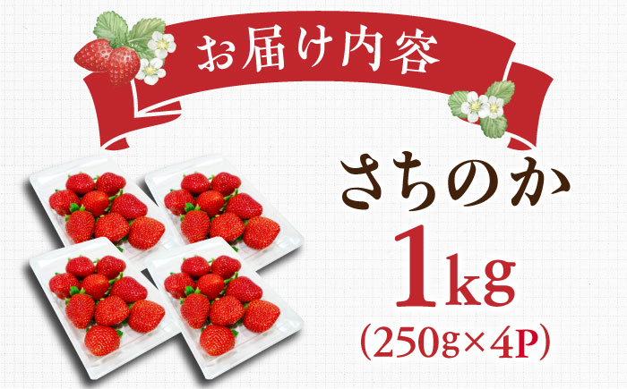 【2026年発送 先行予約】さちのか 1kg（250g×4パック） / いちご / 佐賀県 / リフルット株式会社 [41ABAA006]