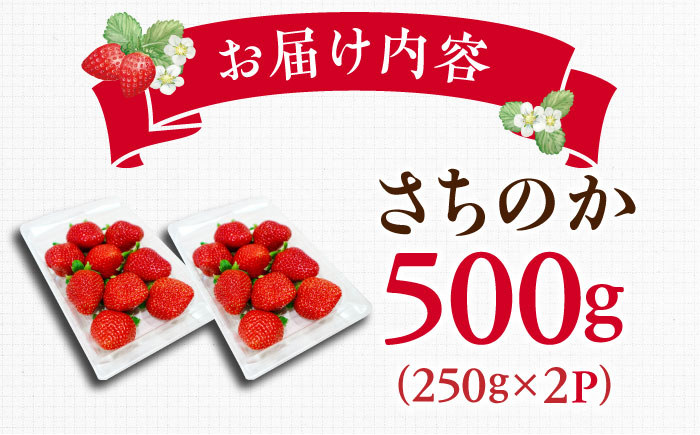 【2026年発送 先行予約】さちのか 500g（250g×2パック） / いちご / 佐賀県 / リフルット株式会社 [41ABAA007]