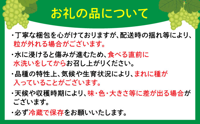 【2026年発送 先行予約】シャインマスカット 3kg / フルーツ / 佐賀県 / リフルット株式会社 [41ABAA015]