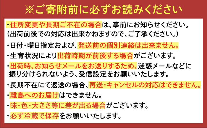 【お歳暮用/熨斗付】 特選濃厚苺30粒 品種:いちごさん or さちのか / フルーツ / 佐賀県 / リフルット株式会社 [41ABAA017]