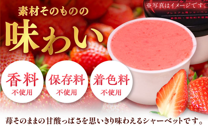 【2026年発送分 先行予約】苺そのままの甘酸っぱさ！THE ICHIGO  プレミアム苺シャーベット 計8個 / スイーツ / 佐賀県 / リフルット株式会社 [41ABAA019]