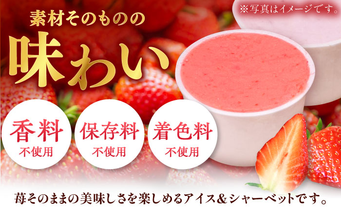 【2026年発送分 先行予約】苺好きが夢中！THE ICHIGO プレミアム苺アイスクリーム＆シャーベット 計8個  / スイーツ / 佐賀県 / リフルット株式会社 [41ABAA020]