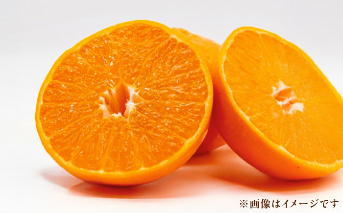 佐賀県産みかん はまさき約5kg / みかん 蜜柑 果物 フルーツ / 佐賀県 / リフルット株式会社 [41ABAA022]