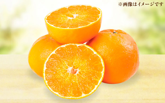 佐賀県産みかん にじゅうまる約5kg / フルーツ 柑橘 唐津 にじゅうまる / 佐賀県 / リフルット株式会社 [41ABAA023]