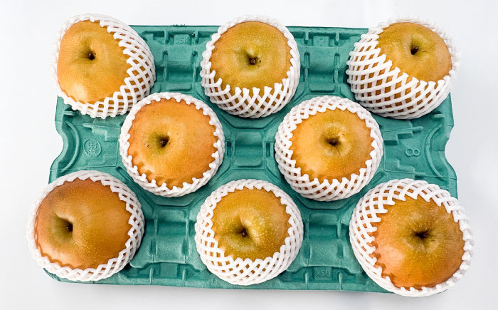 佐賀県産 梨（品種おまかせ）5kg / 和梨 果物 フルーツ 幸水 豊水 / 佐賀県 / リフルット株式会社 [41ABAA025]