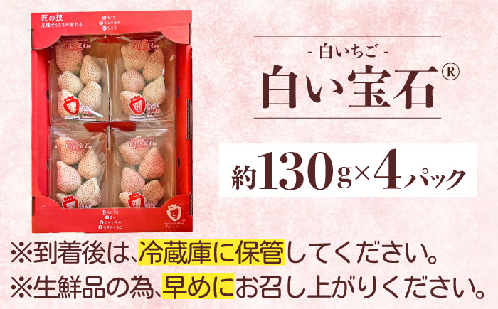 白い宝石（自宅用）約520g（約130g×4パック）/ いちご / 佐賀県 / 手島農園 [41ABAB003]