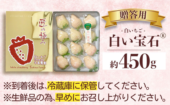 【2026年2月から発送分 先行予約】【幻の白いちご】【化粧箱入り】白い宝石 約450g / フルーツ / 佐賀県 / 手島農園 [41ABAB005]