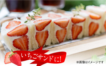 いちごさん（450g×1パック） / フルーツ / 佐賀県 / JAからつ 唐津うまかもん市場 [41ABCA001]