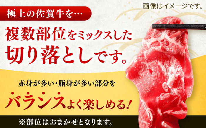 【全6回定期便】佐賀牛切り落とし 計6kg（500g×2P×6回） / 牛肉 / 佐賀県 / ヤマサン食品 [41ADAA006]