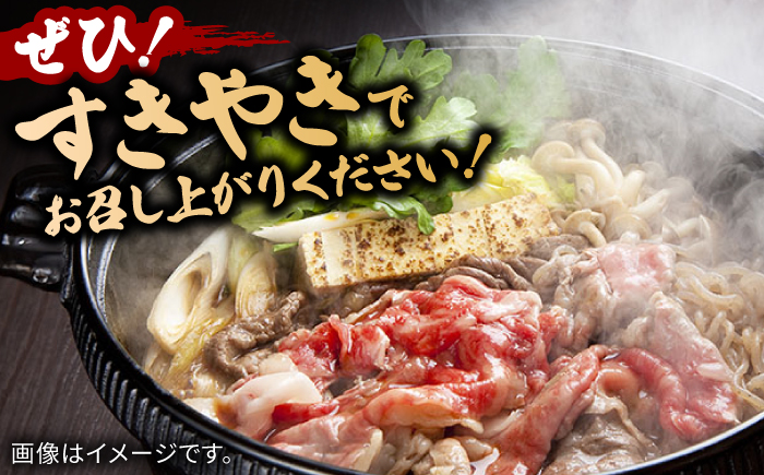 佐賀牛すきやき用 スライス500g / 牛肉 / 佐賀県 / ヤマサン食品 [41ADAA011]