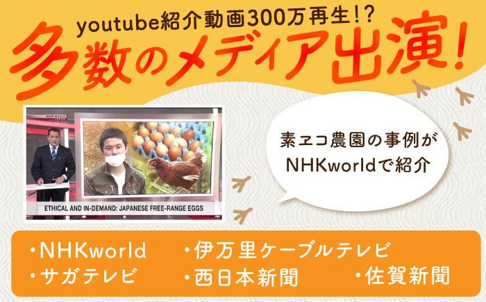 こだわりの平飼い卵を使用！牛乳を使わない優しいプリン 6個入（80g/個） / スイーツ / 佐賀県 / 素ヱコ農園 [41AEAA014]