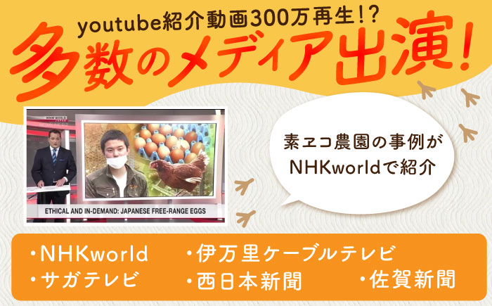 卵の雫（プレーン）4粒×66袋 / スイーツ / 佐賀県 / 素ヱコ農園 [41AEAA015]