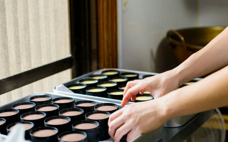 小嶋やの謹製どら焼き4個・餡プリン6個 / 和菓子 / 佐賀県 / 小嶋や [41AEAN006]