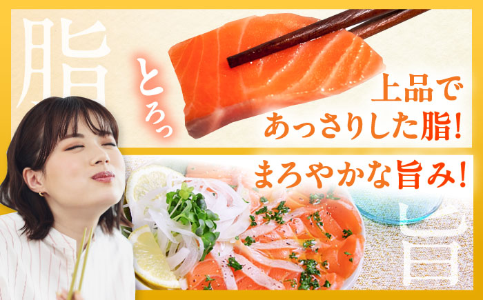 玄海サーモン柵80g×6袋 / 魚介類 / 佐賀県 / 株式会社九州特産品販売 [41AECT008]