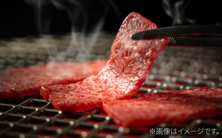 A5 佐賀牛 焼肉用モモ 計600g（300g×2パック）/ 牛肉 / 佐賀県 / 株式会社ナチュラルフーズ [41AFAB029]