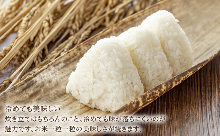 令和7年産 ゆめしずく5kg 白米 / 精米 / 佐賀県 / 有限会社中島商店 [41AGAC002]