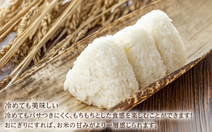 令和7年産 ひのひかり5kg 白米 / 精米 / 佐賀県 / 有限会社中島商店 [41AGAC003]