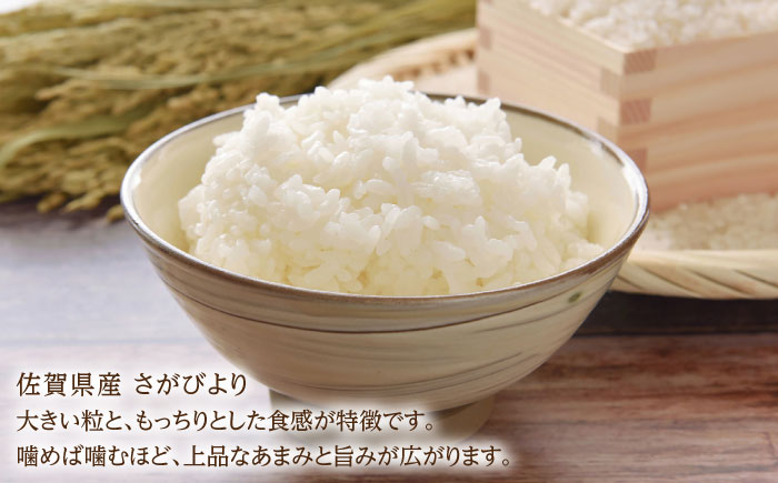 令和7年産 さがびより5kg 白米 / 精米 / 佐賀県 / 有限会社中島商店 [41AGAC007]