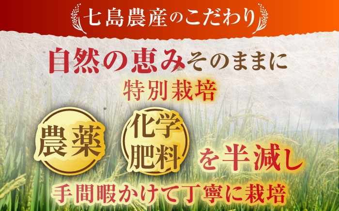 令和7年産 ななしま家 夢しずく 5kg / 精米 / 佐賀県 / 有限会社七島農産 [41AHAC003]