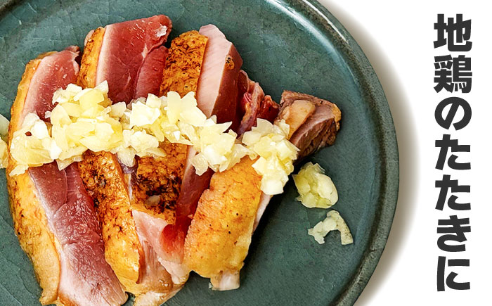 刻んだしょうがとにんにく少々（80g×5袋） / 調味料 / 佐賀県 / 有限会社乃市商店 [41AHDB003]