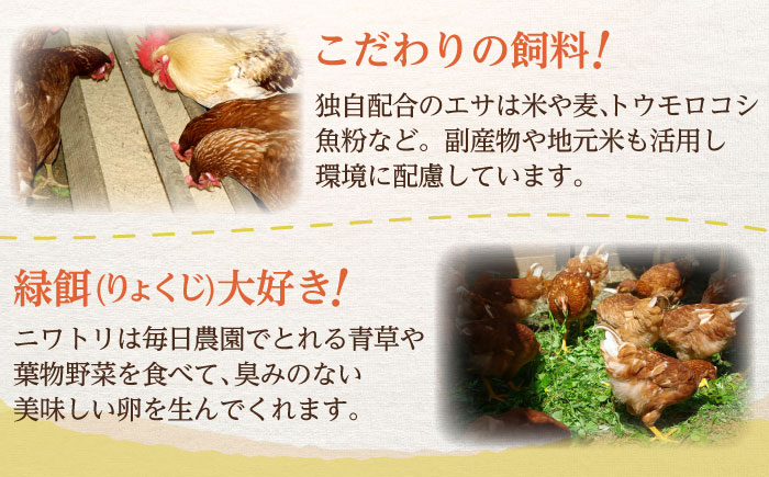 平飼いたまご使用！たまごやさんのおひさまプリン 5個 / スイーツ / 佐賀県 / 本間農園 [41AJAA004]