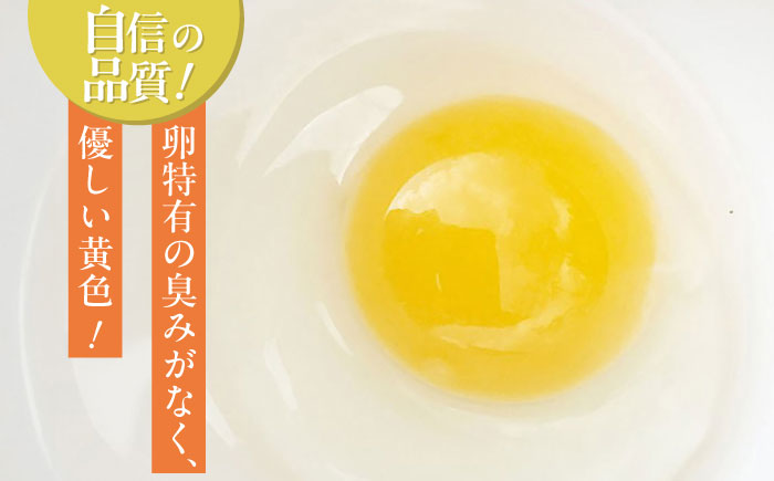 たまご屋さんのほんまのデザートセット（おひさまケーキ2箱・おひさまプリン6個） / スイーツ / 佐賀県 / 本間農園 [41AJAA018]